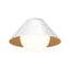 Alora Mood Remy 14-in Flush Mount