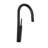 Solstice Kitchen Faucet With Spray
