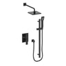 KAPFENBERG 2-WAY PB SHOWER KIT