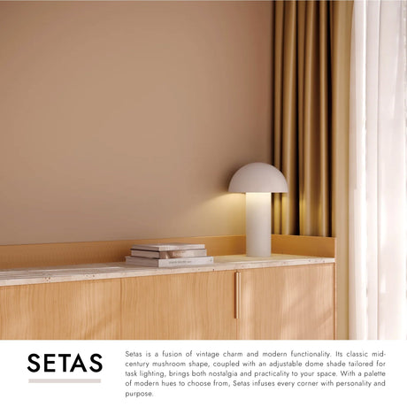 Kuzco Setas 10-in Table Lamp