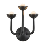 Alora Spade 11-in Wall/Vanity Light