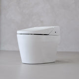 IKleen2 Smart Toilet