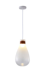 Pendant DLS30P10W