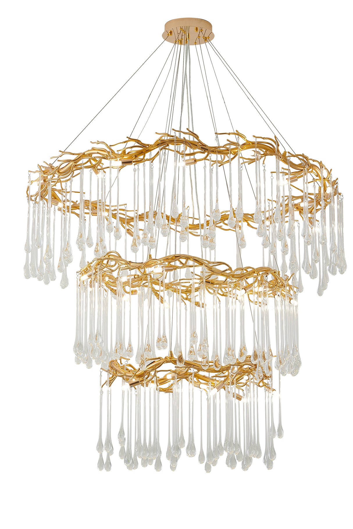 Chandelier CN21C24G