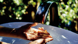 ZN Automatic Lavatory Faucet