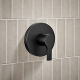 Elate® Rite-Temp® shower trim kit, without showerhead