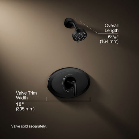 Remodel Rite-Temp® shower trim kit, 2.5 gpm