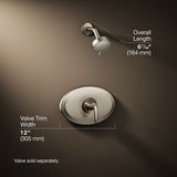 Remodel Rite-Temp® shower trim kit, 2.5 gpm