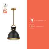 Alora Mood Waldo 11-in Pendant