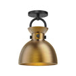Alora Mood Waldo 9-in Semi-Flush Mount