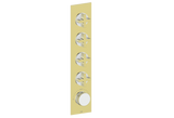 MOND TRIM FOR 3/4" HIGH-FLOW TH VALVE WITH 4 VOLUME CONTROLS
