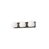 Willow VL548322