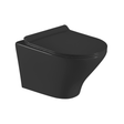 Apollo Black Artivea Toilet