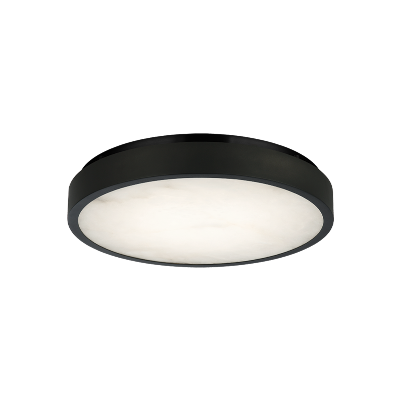 Matteo Ceiling Mount X05915