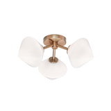 Matteo Ceiling Mount X81743AG