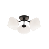 Matteo Ceiling Mount X81743AG