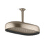 Statement® Oblong 14" single-function rainhead, 2.5 gpm
