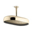 Statement® Oblong 14" single-function rainhead, 2.5 gpm