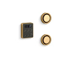 Invigoration® Series Tandem steam generator control kit