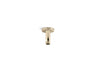Statement® 3" ceiling-mount single-function rainhead arm and flange