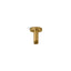 Statement® 3" ceiling-mount single-function rainhead arm and flange