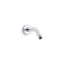 Statement® Shower arm and flange