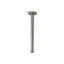 Statement® 12" ceiling-mount single-function rainhead arm and flange