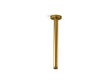 Statement® 12" ceiling-mount single-function rainhead arm and flange