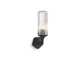 Occasion® One-light sconce