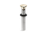 Clicker drain with overflow