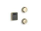 Invigoration® Series Tandem steam generator control kit