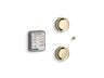 Invigoration® Series Tandem digital steam adapter kit
