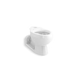 Barrington™ Elongated toilet bowl