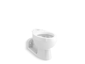 Barrington™ Elongated toilet bowl