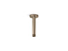 Statement® 6" ceiling-mount single-function rainhead arm and flange