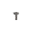 Statement® 3" ceiling-mount single-function rainhead arm and flange