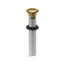 Clicker drain with overflow