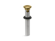 Clicker drain with overflow