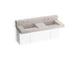 Constellation™ 60" wall-mount basin lavatory system with backsplash