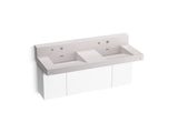 Constellation™ 60" wall-mount basin lavatory system with backsplash