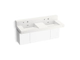 Constellation™ 60" wall-mount basin lavatory system with backsplash