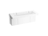 Constellation™ 60" wall-mount trough lavatory system