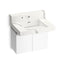 Constellation™ 30" wall-mount lavatory system with backsplash