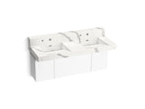 Constellation™ 60" wall-mount basin lavatory system with backsplash