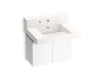 Constellation™ 30" wall-mount lavatory system with backsplash