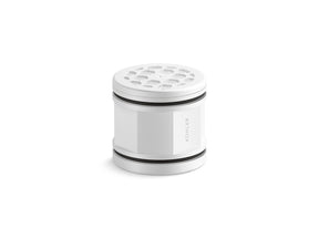 Showerhead replacement filter