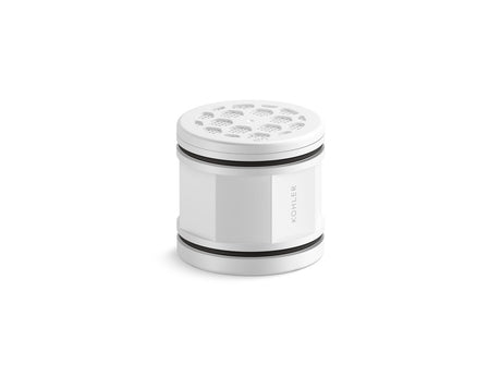 Showerhead replacement filter
