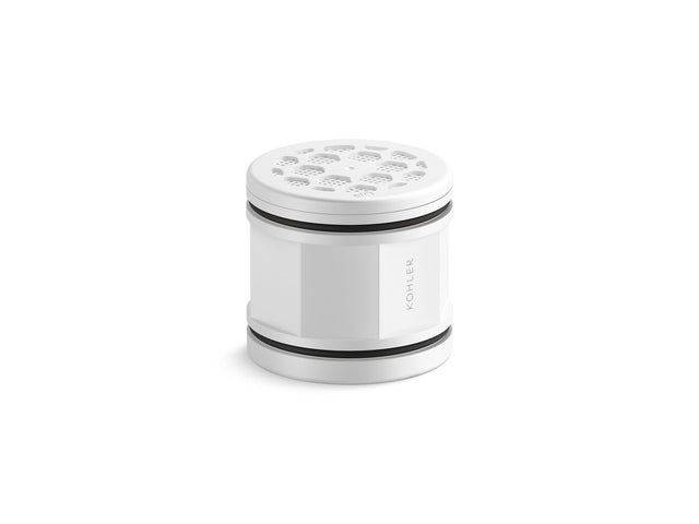 Showerhead replacement filter