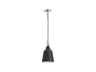 Varla™ 9" pendant