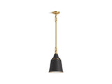Varla™ 9" pendant